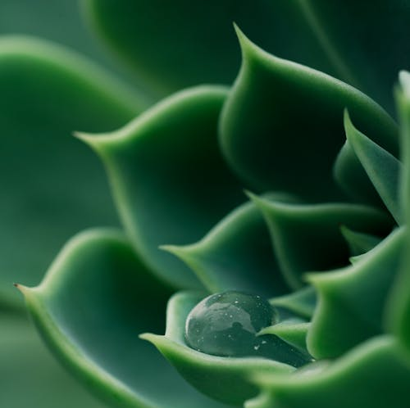 CARBON COMPLIANCE, ESG REPORTING & IMPLEMENTATION