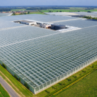 Portfolio_Agro-For_03
