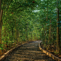 Portfolio_Agro-For_04